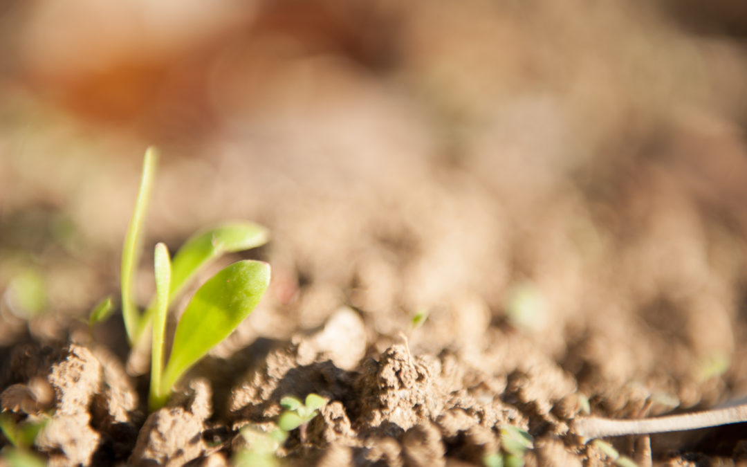 Mon nouveau site est en ligne !