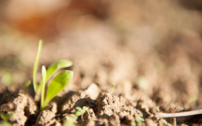 Mon nouveau site est en ligne !