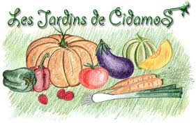 Biocoop Magali, Noves