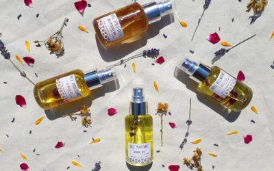 Les nouveautés de la rentrée !