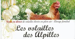 Volailles des Alpilles, Mouries